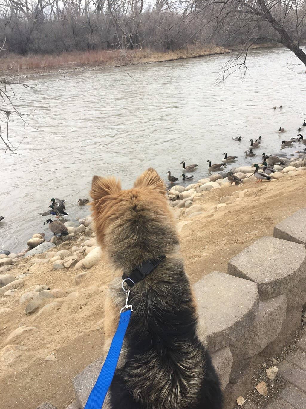 Playgrounds & Splash Pad