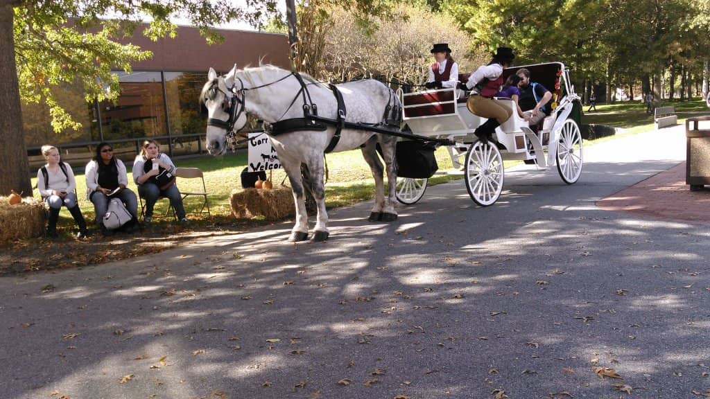 Wickford Harbor Views