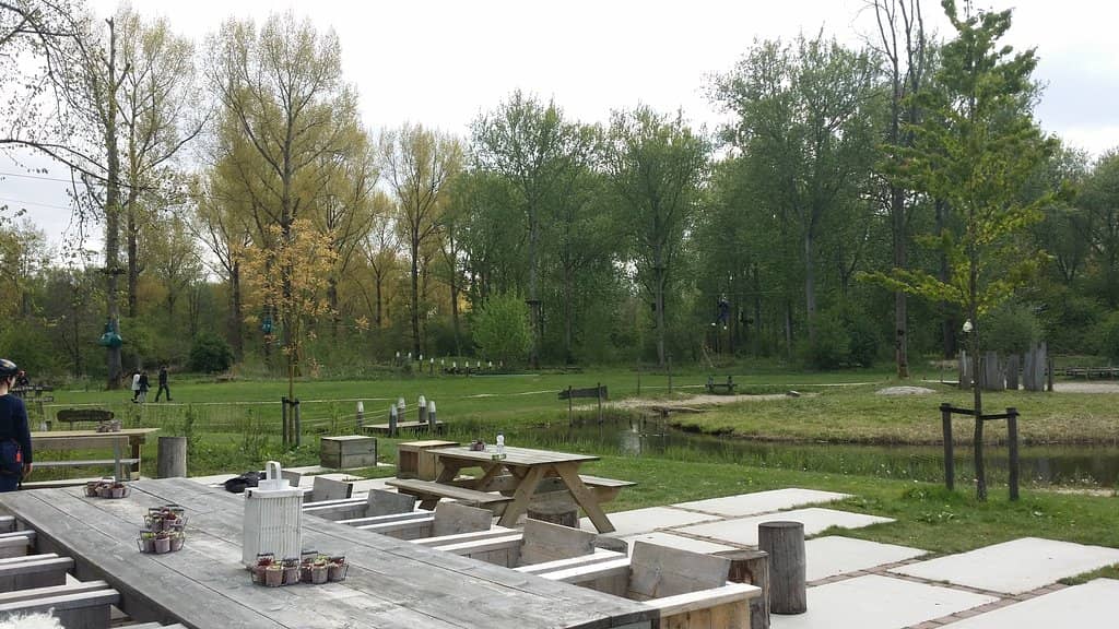 Tree Climbing Adventure