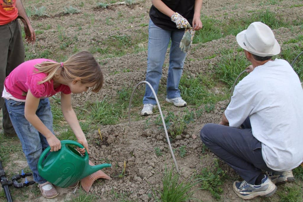Palazzo dei Diamanti