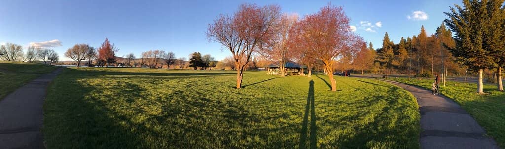 Moore Park Golf Driving Range