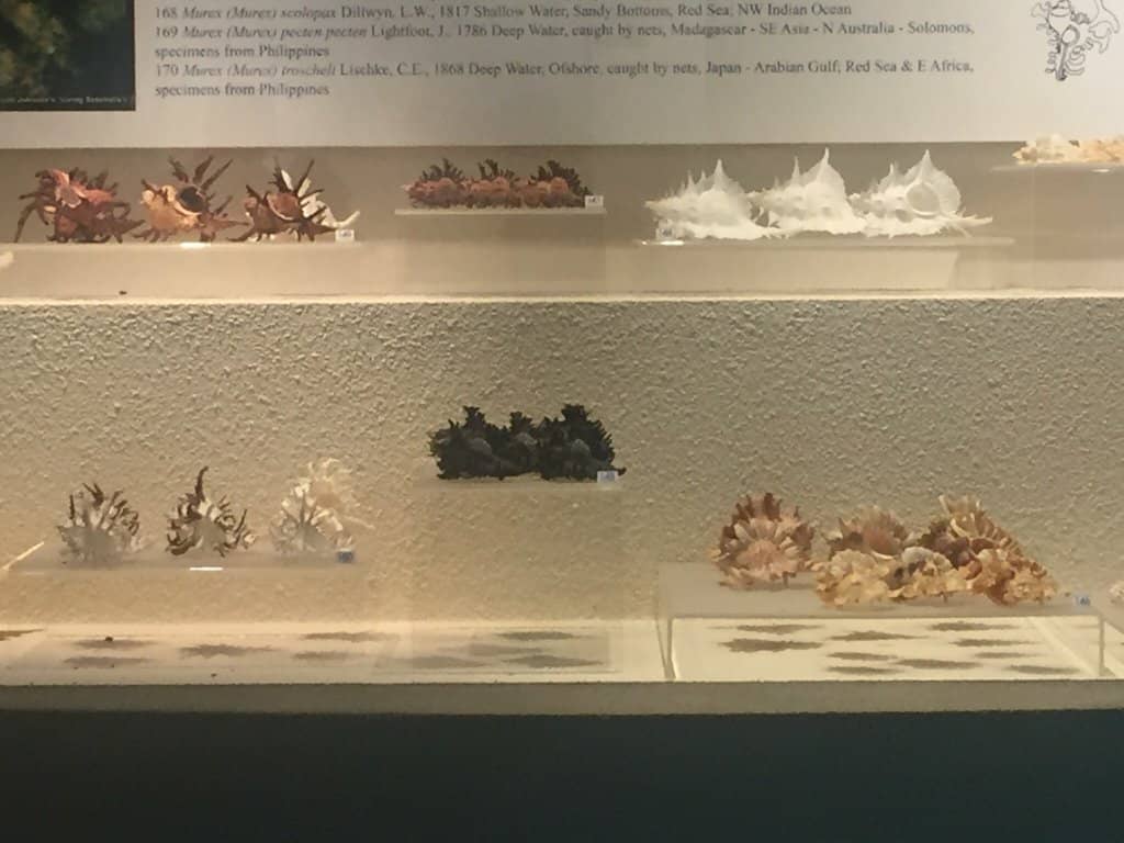 Educational Exhibits