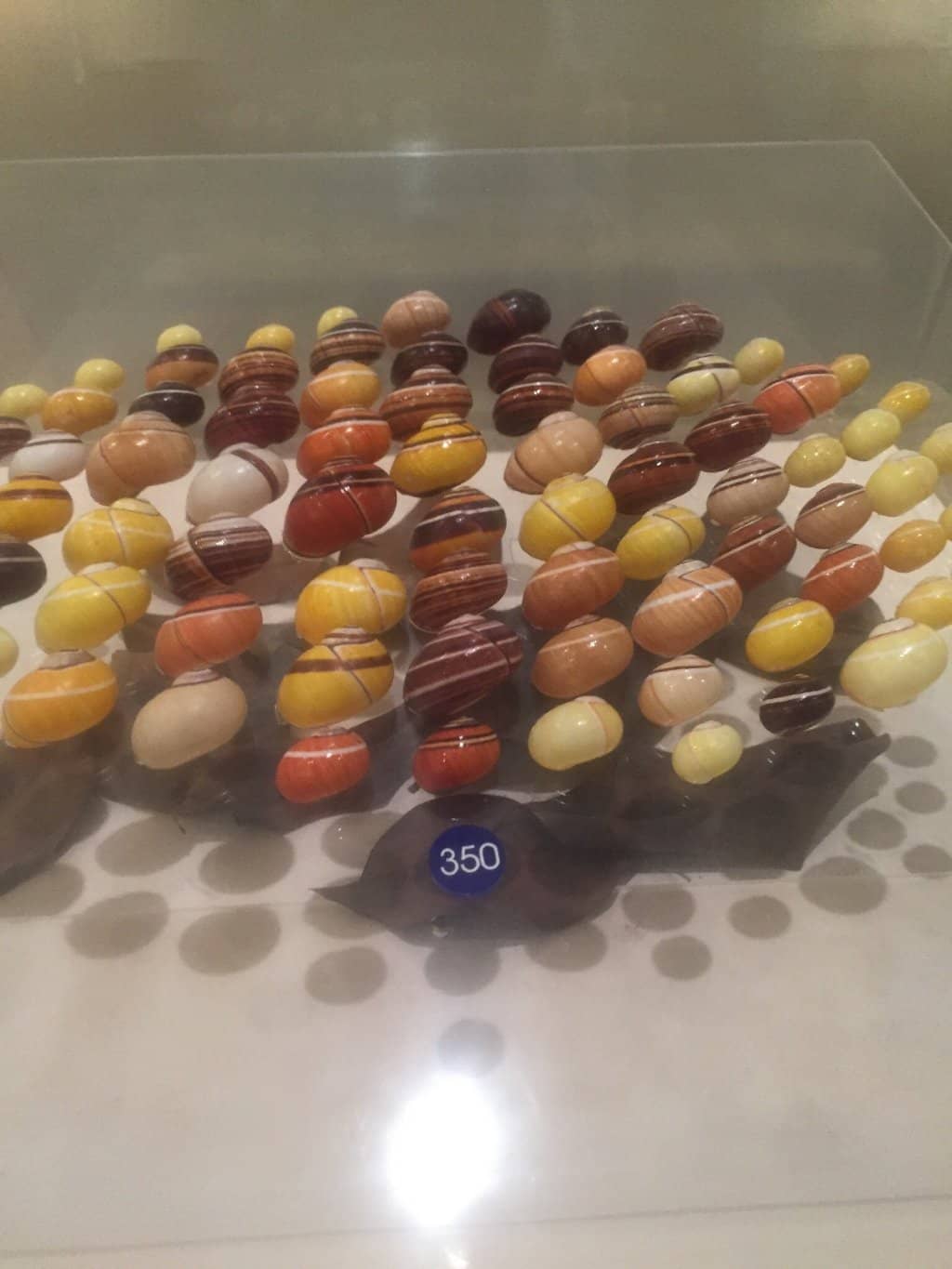 Colorful Shell Displays