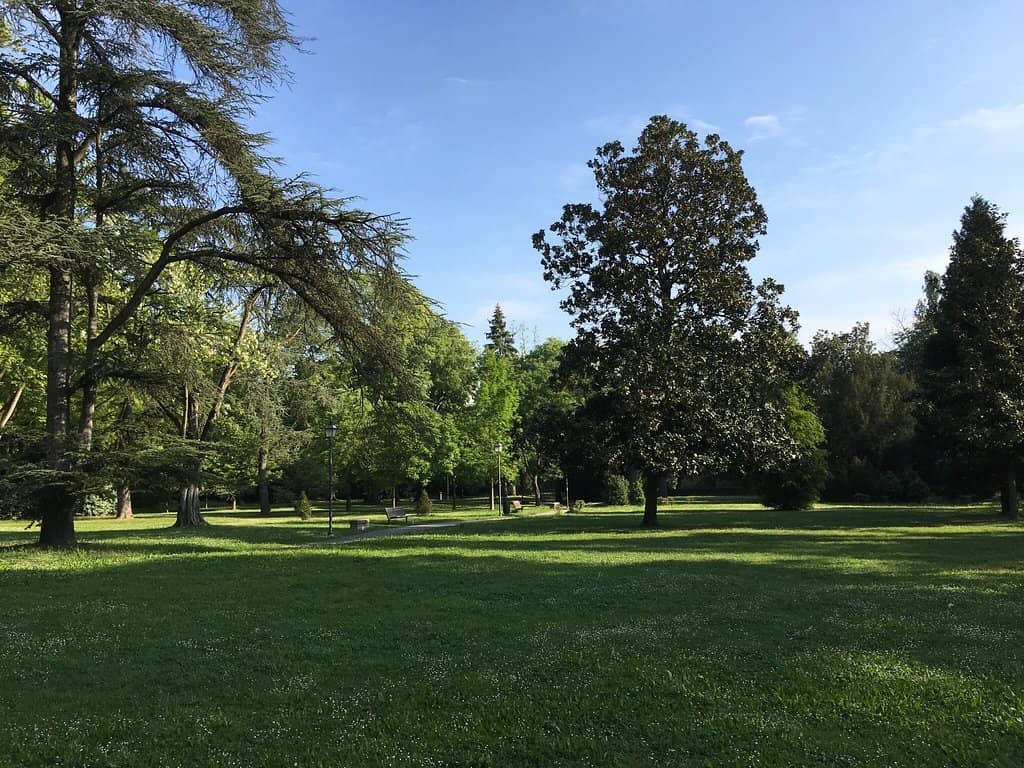 Peaceful Benches