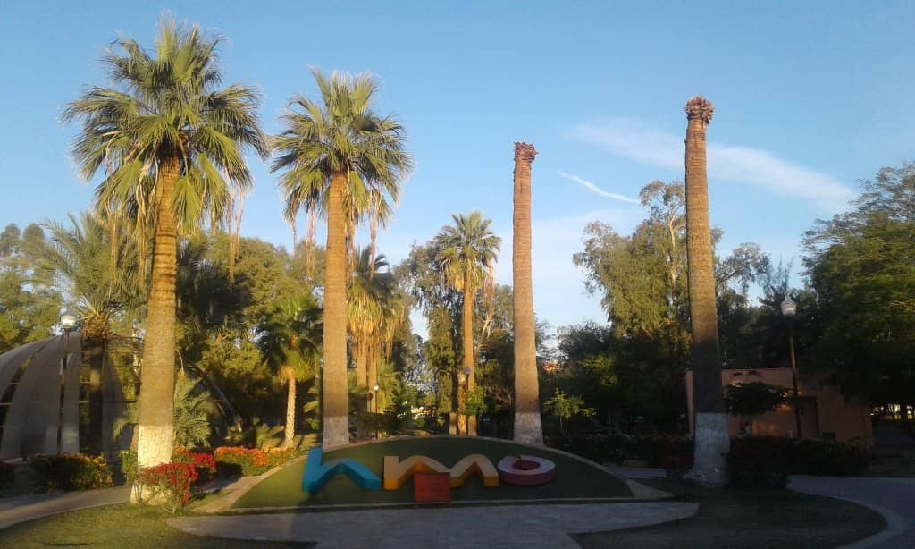 Sprawling Green Spaces