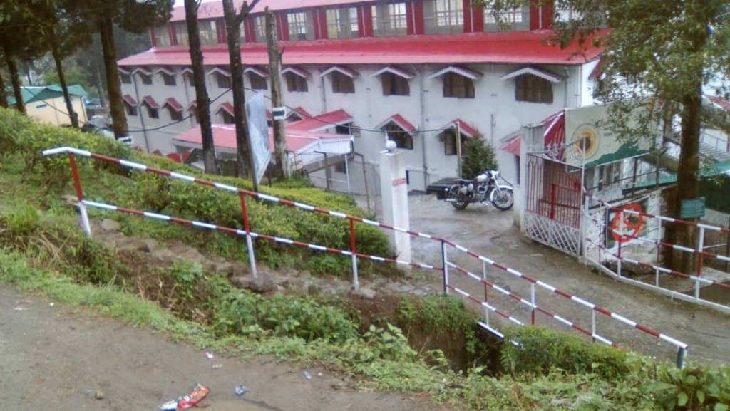 Tea Processing Factory Tour