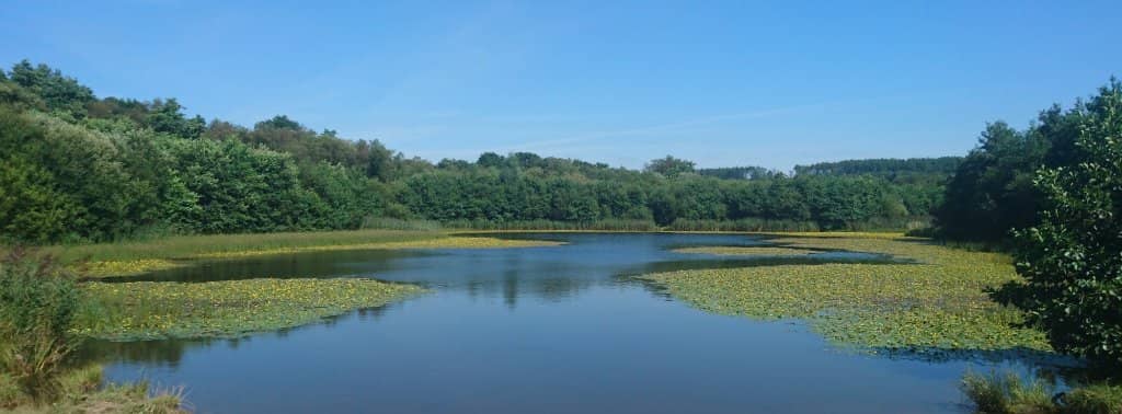 Victorian Estate Gardens
