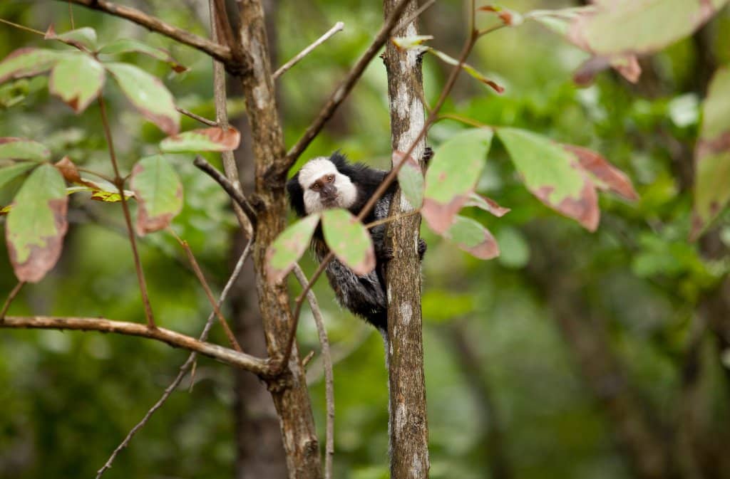 Orquidário & Jardim Sensorial
