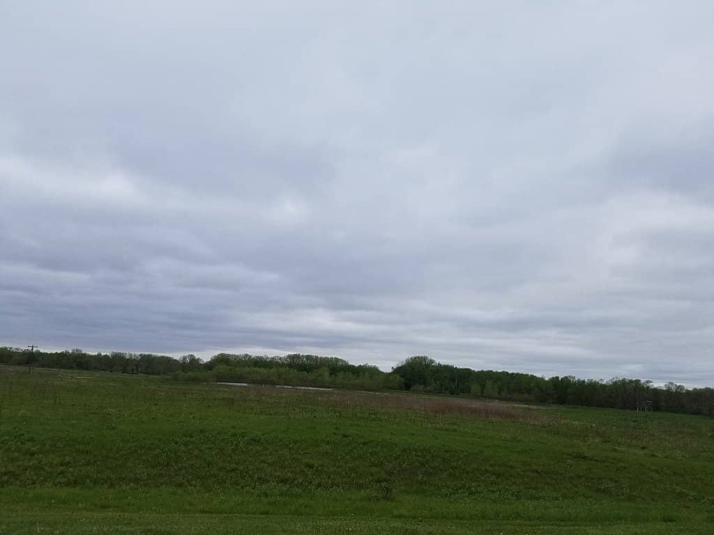 Unique Wooded Playground