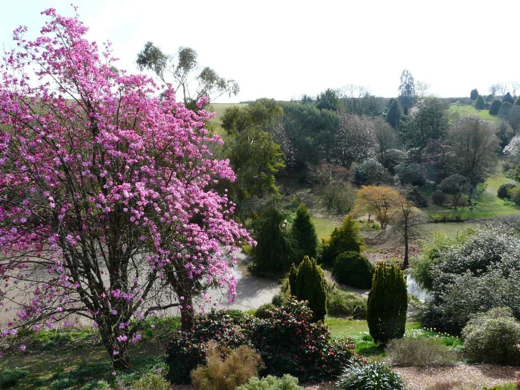 National Plant Collections