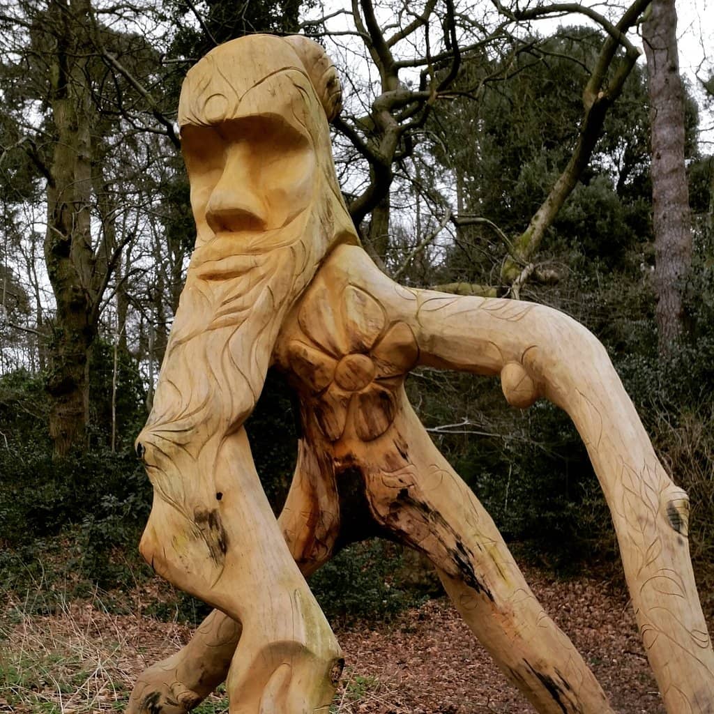 Stunning Bluebell Woods