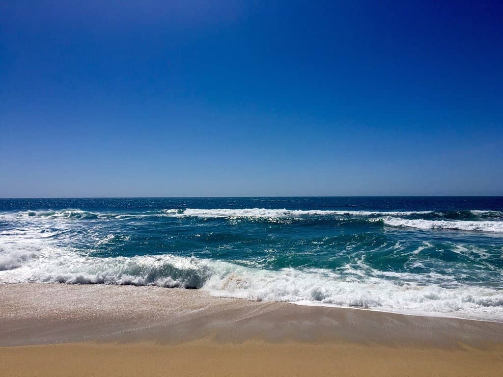 Whale Watching Potential