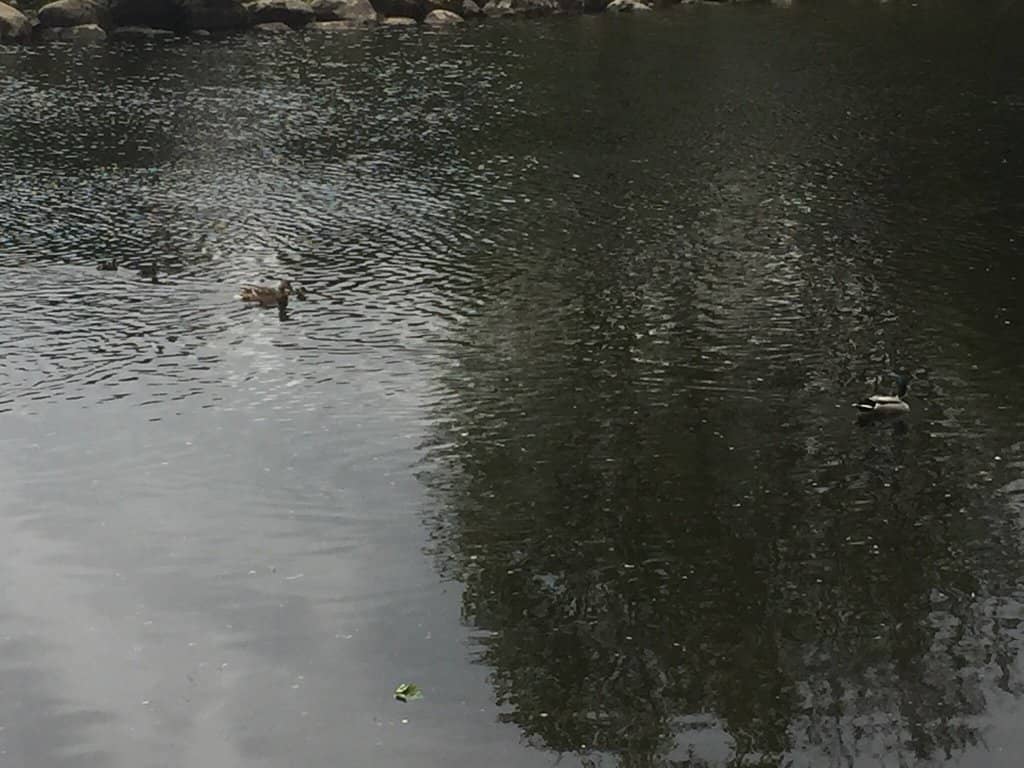 Children's Play Area