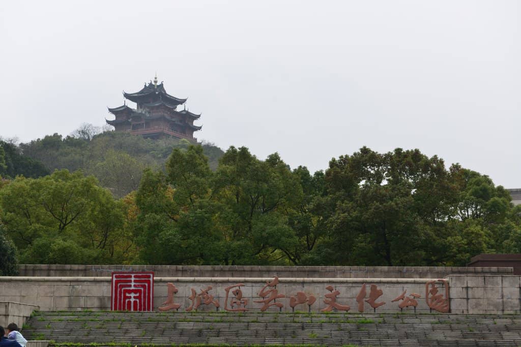 Local Life & Exercise