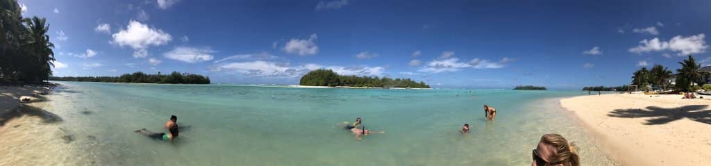 Snorkeling with Marine Life