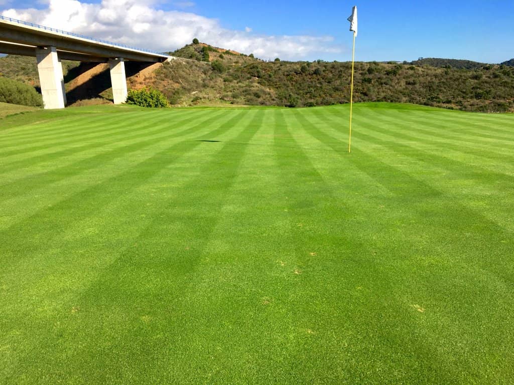 Well-Stocked Pro Shop