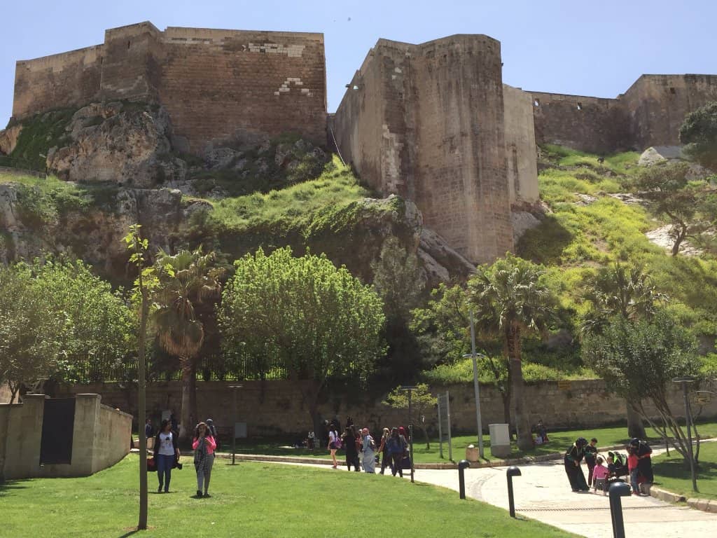 Panoramic City Vistas