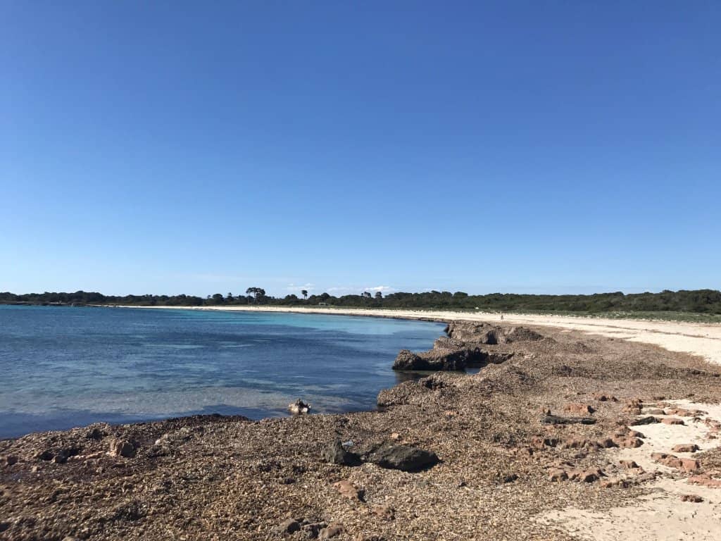Rocky Outcrops & Cliffs
