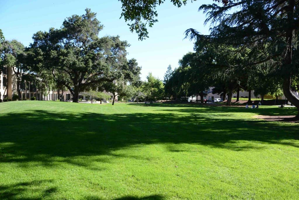 Outdoor Fitness Equipment