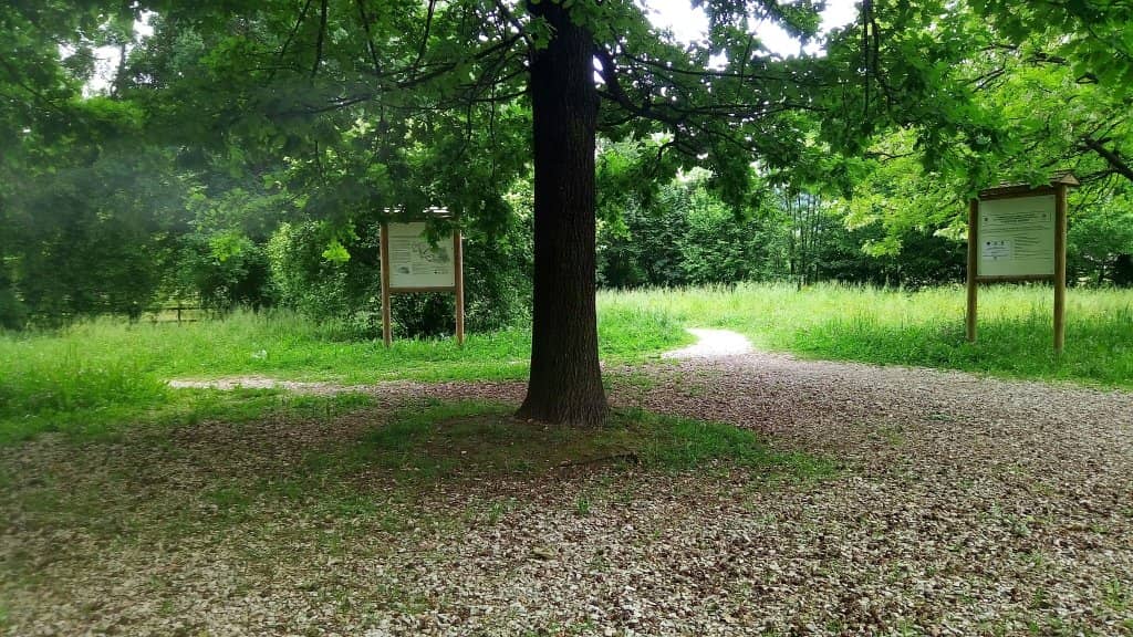 Valletta del Silenzio Gorge