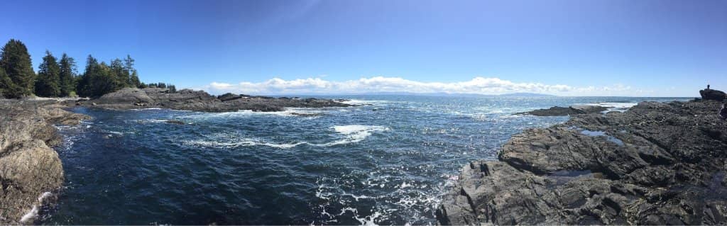 Dog-Friendly Paradise