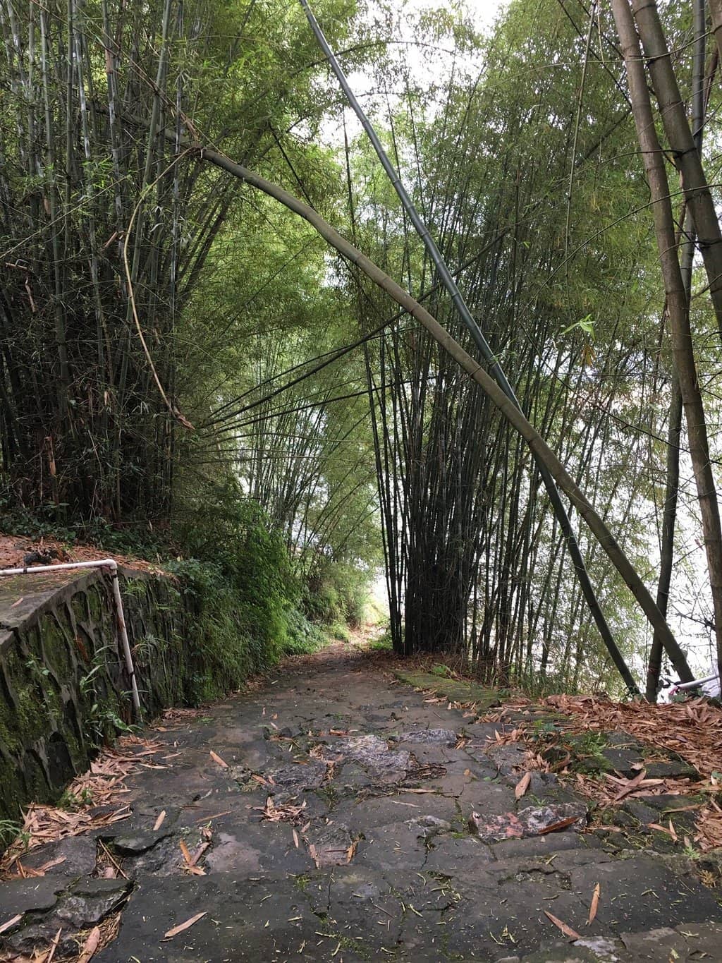 Laozhai Mountain Hike