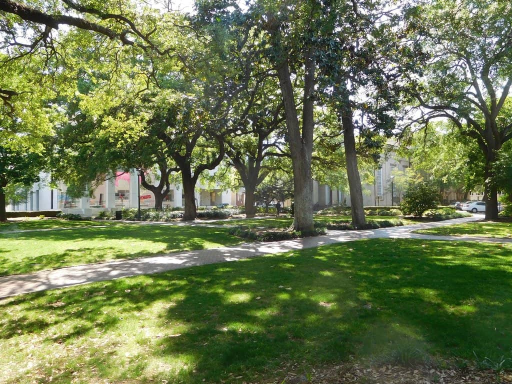 Chambered Nautilus Monument