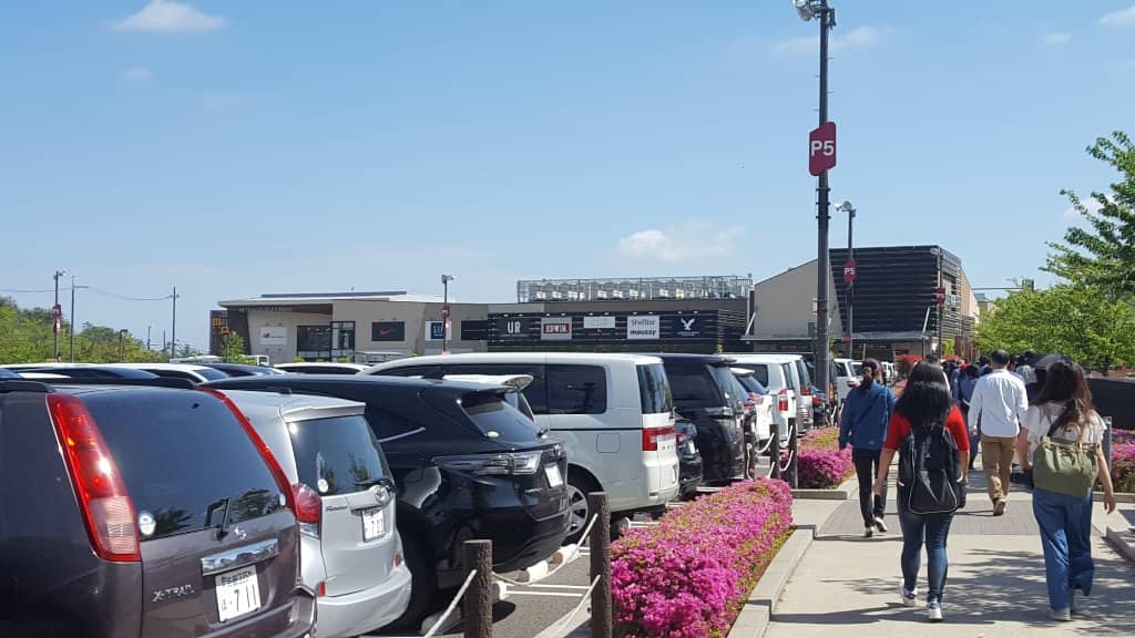 Pet-Friendly Outings