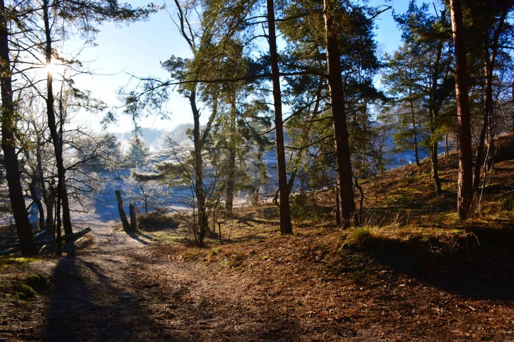 Varied Walking Trails