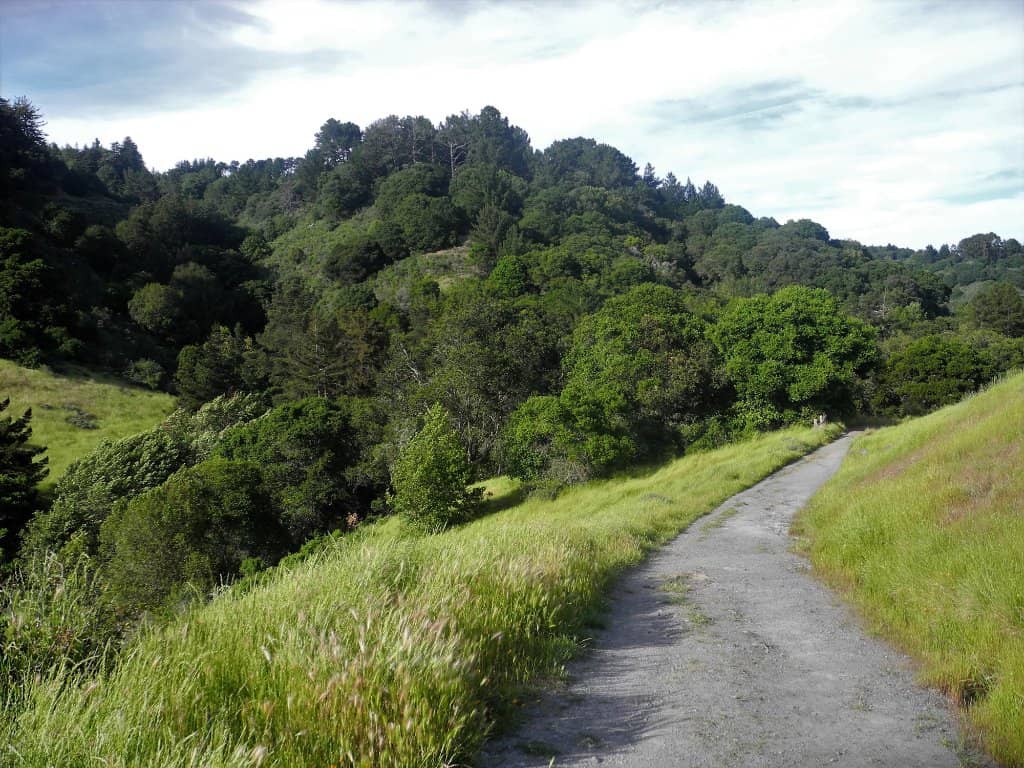 Stream Trail Loop
