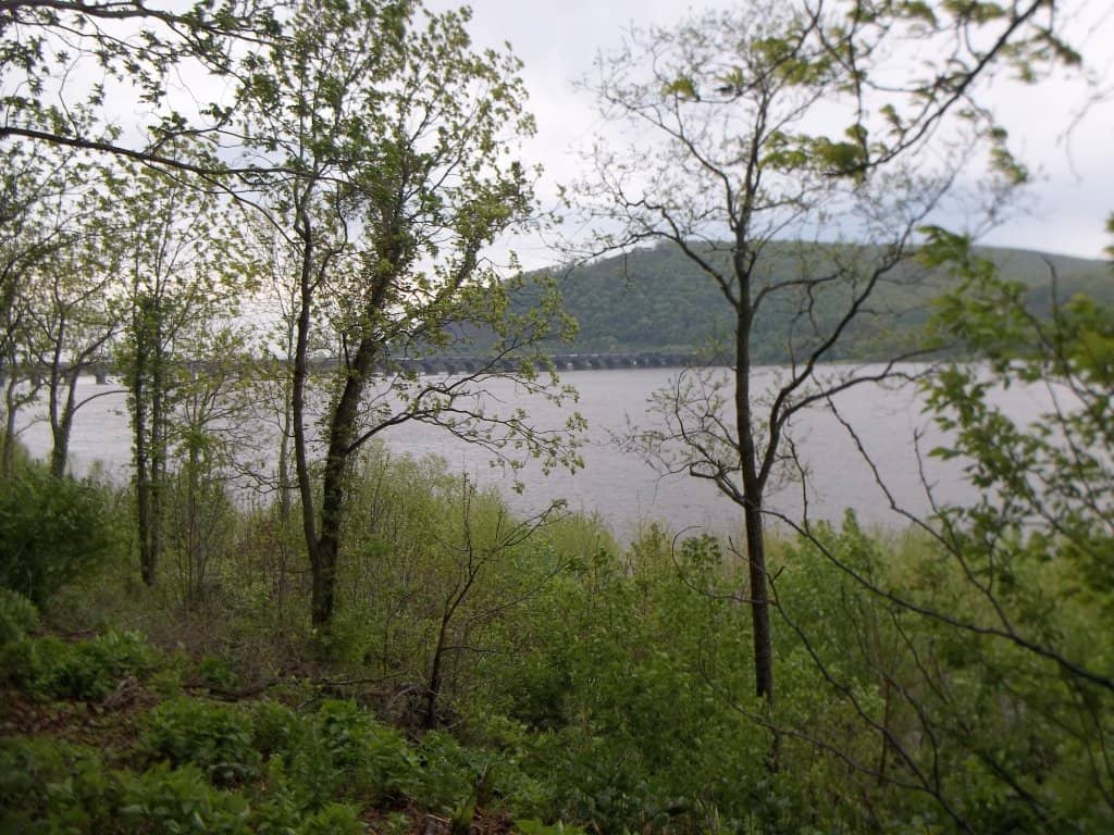 Susquehanna River Views