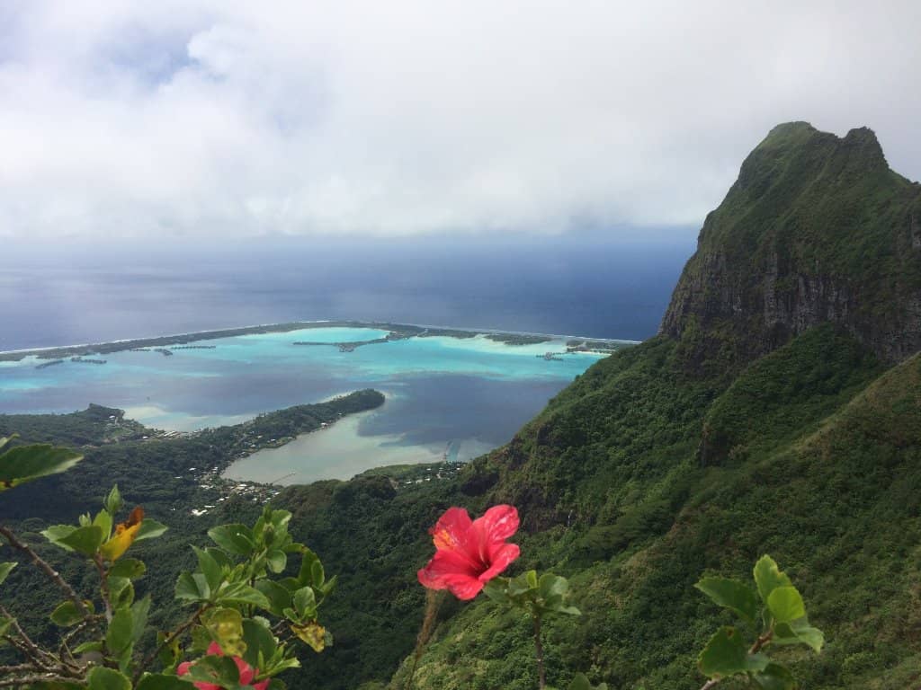 Panoramic Island Vistas
