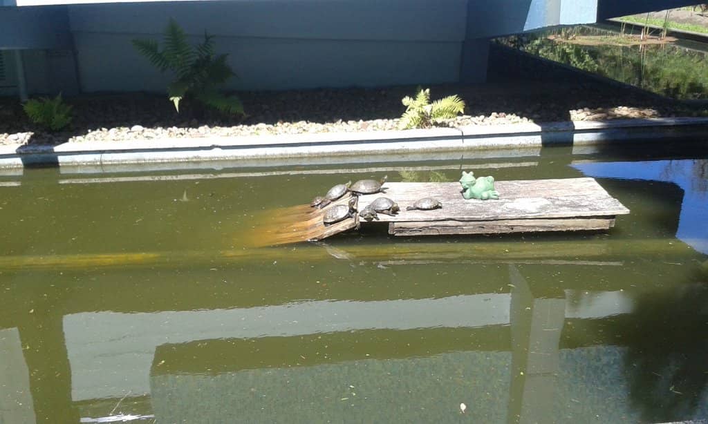 Marine Life Exhibition