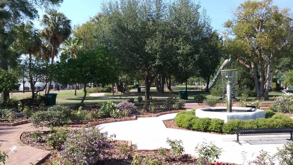 The Blue-Banded Bee's Journey