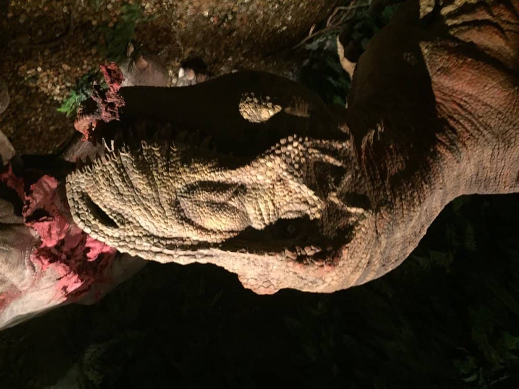 4D Films and Interactive Exhibits