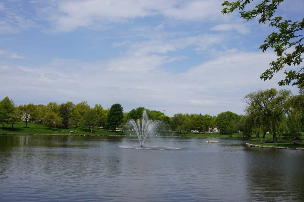 Unique & Thought-Provoking Art