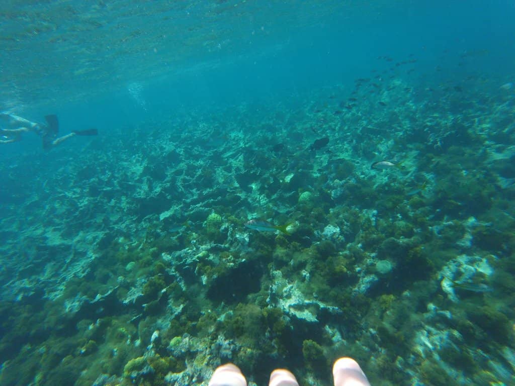 Shipwreck Exploration