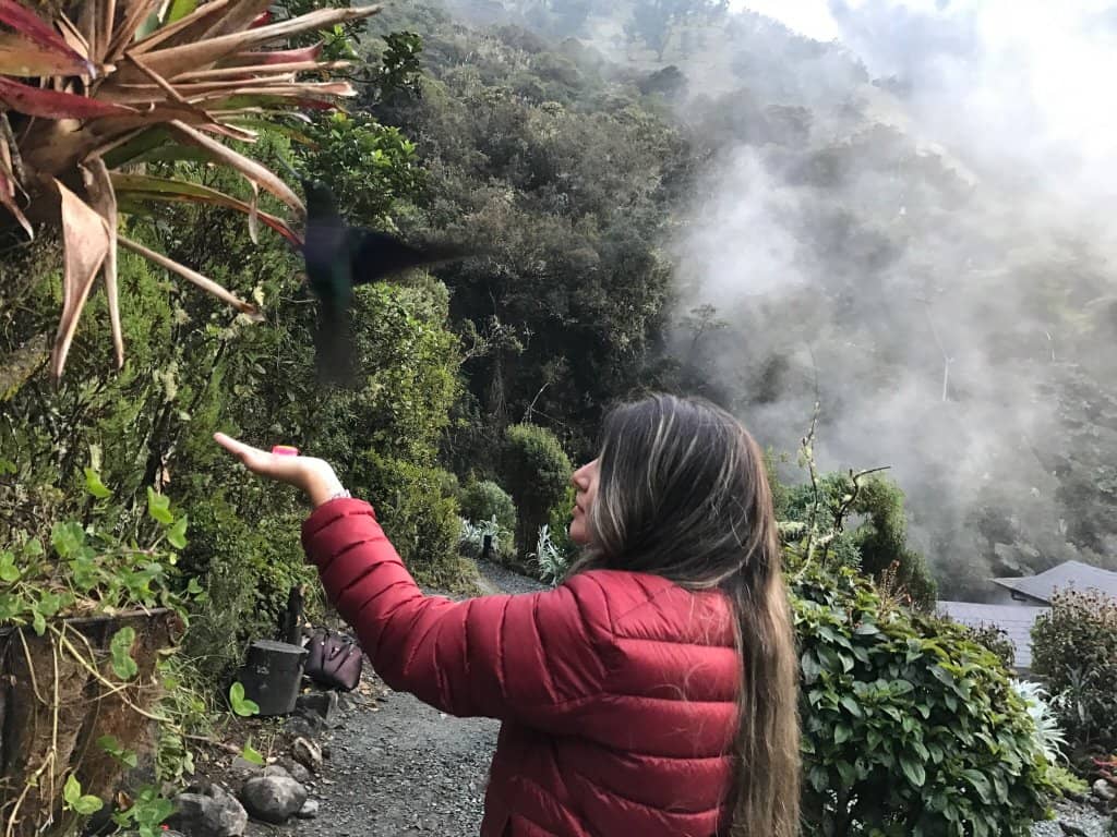 Nevado del Ruiz Views