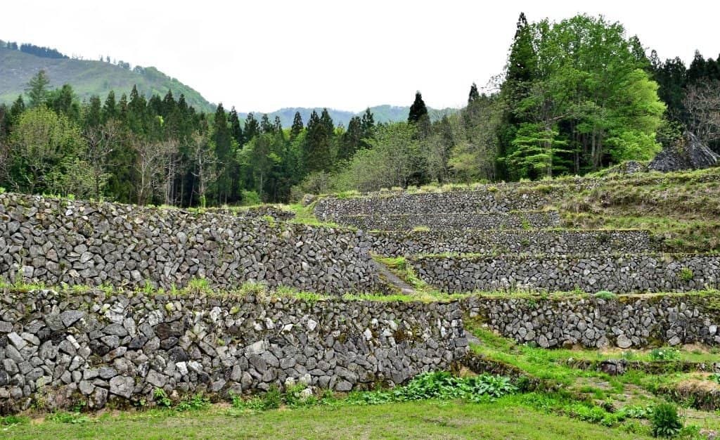 Authentic Local Cuisine