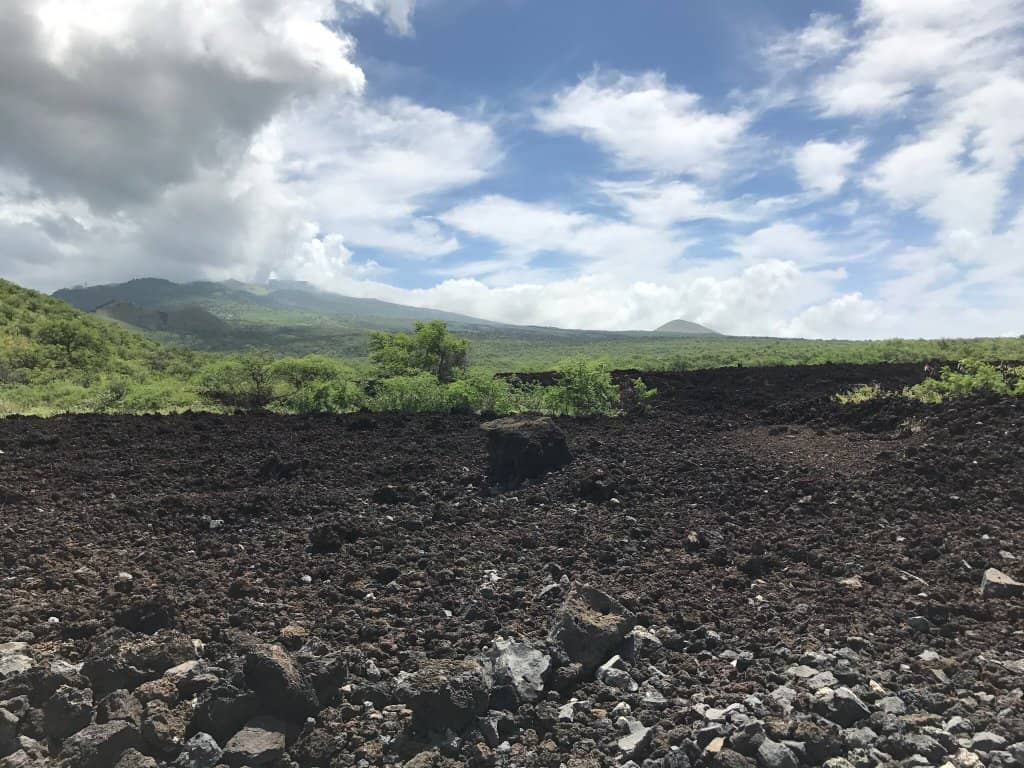 Spinner Dolphin Sightings