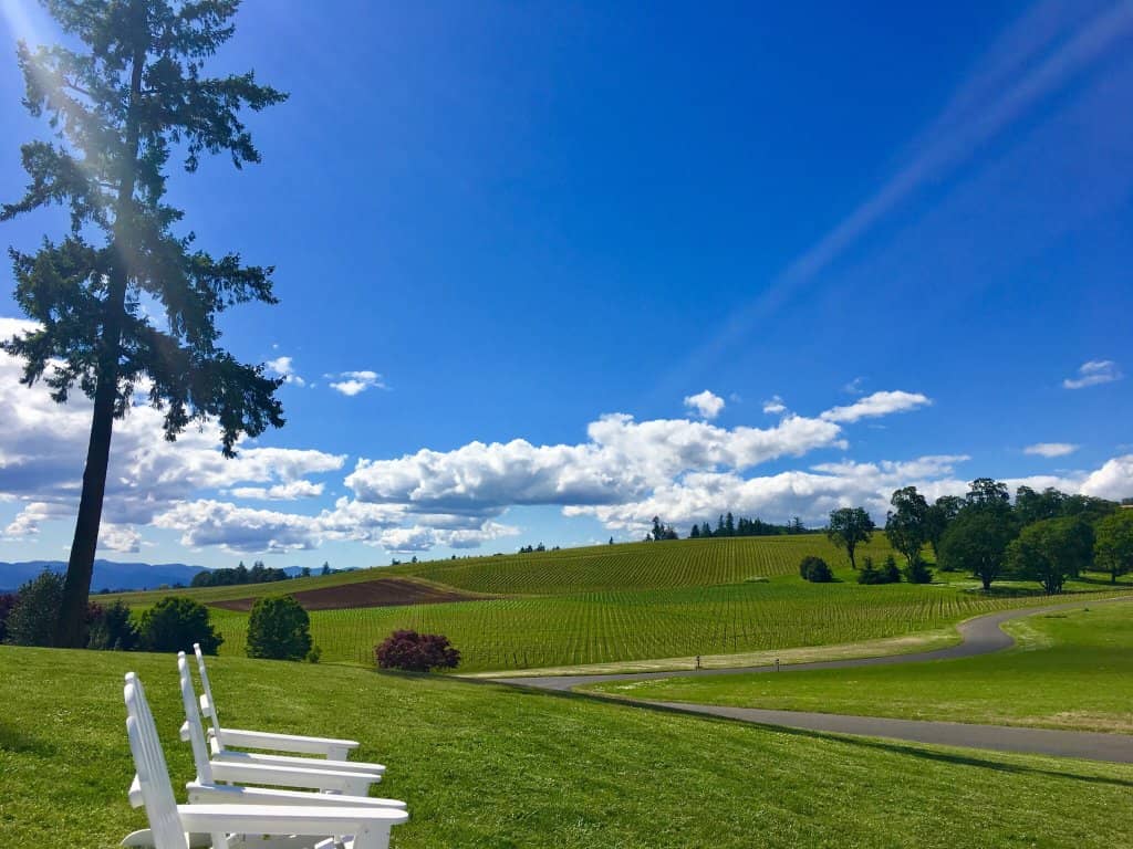Grand White Oak Tire Swing Tree