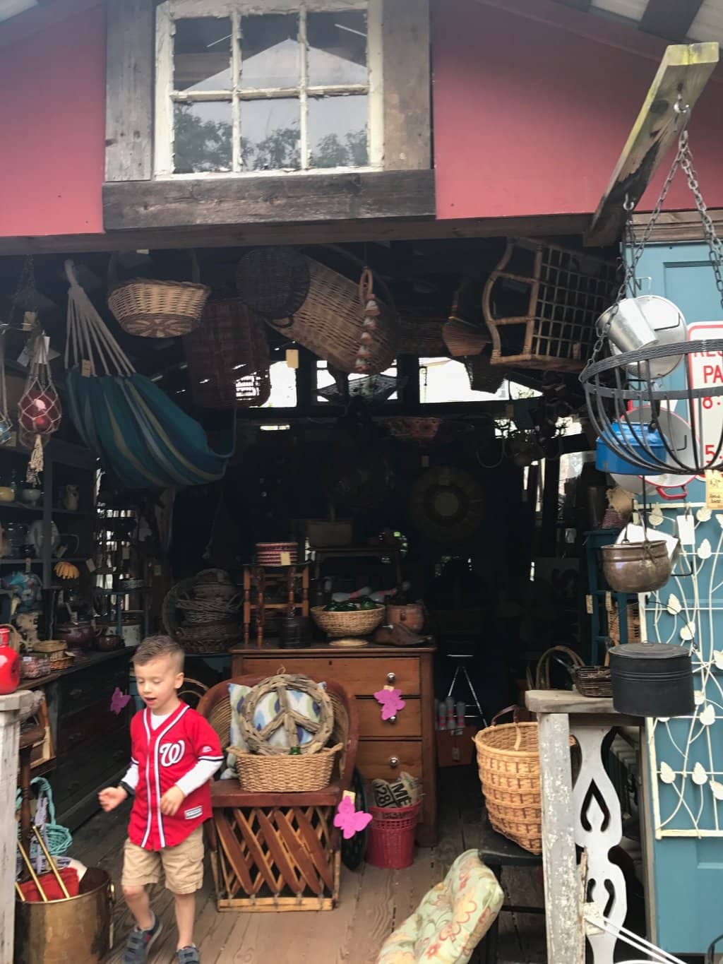 Seasonal Decor & Themed Displays