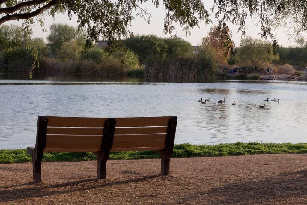 Chandler Nature Center