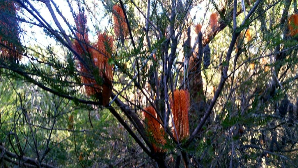 Natural Pools & Rock Formations