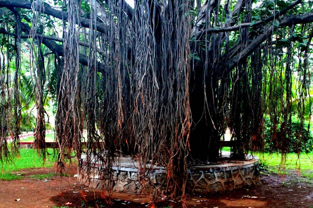 Refreshing Sea Breeze