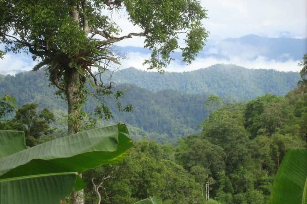 Scenic Trails & Stream Crossings
