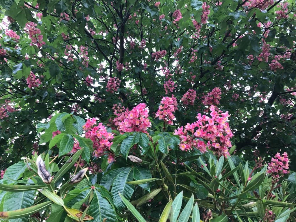 Sculptures and Art Installations