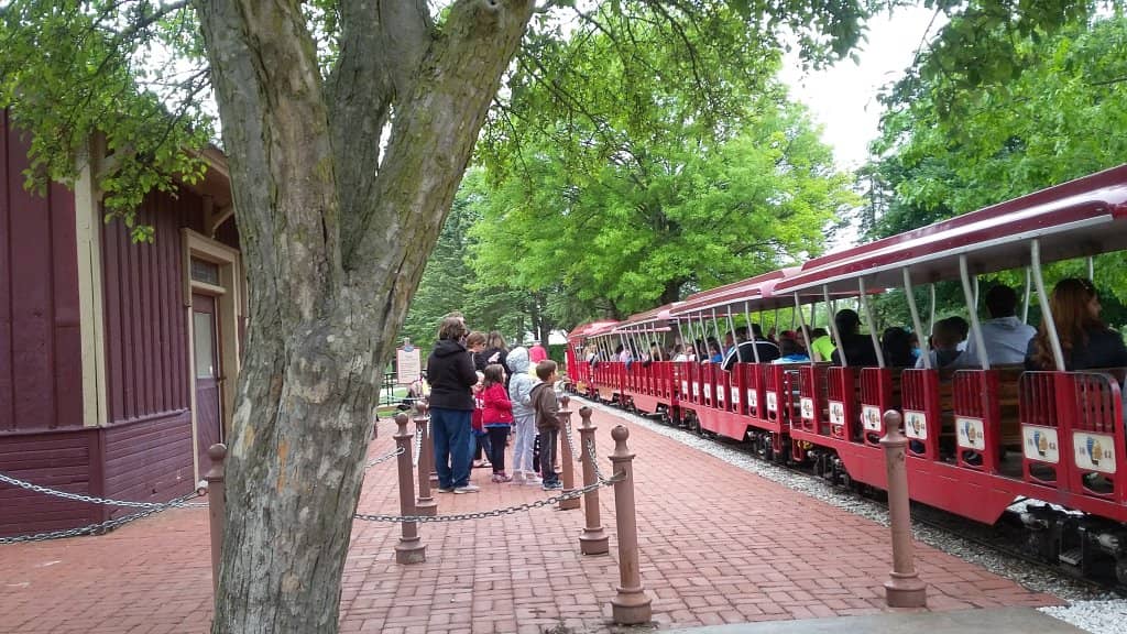 Interactive Petting Zoo