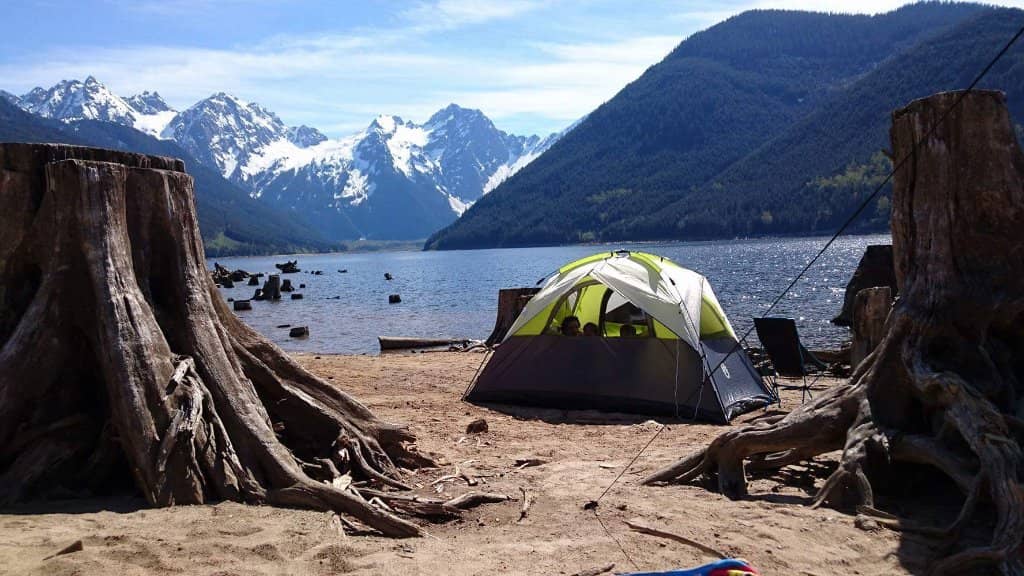 Forestry Road Exploration
