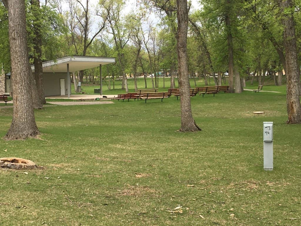 Festive Christmas Lights